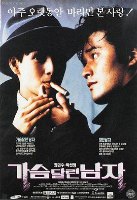雏菊